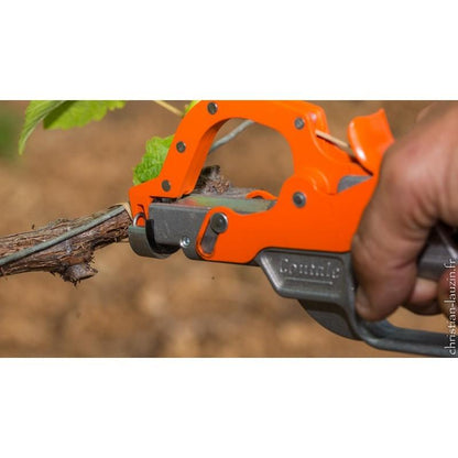 Attacheur de vigne